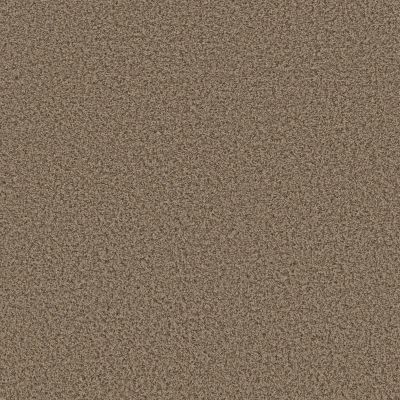 Shaw Floors Basic Mix 15.3 Raw Wood 0711B_373SE