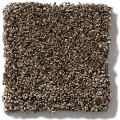 Anderson Tuftex SFA Flamenco Coconut Husk 41SSF_00775