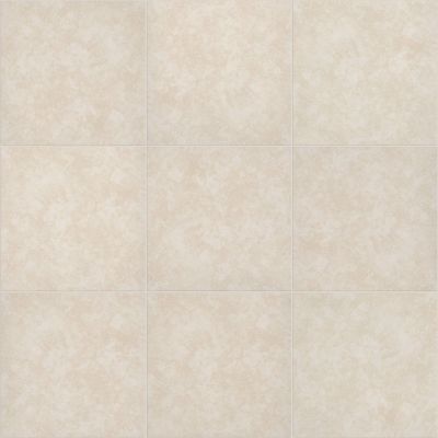 Shaw Floors Ceramic Solutions Resolve 17×17 Intrinsic 00150_427TS