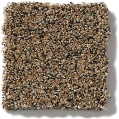 Anderson Tuftex SFA Salsa Tannin 42SSF_00273