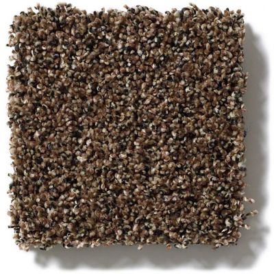 Anderson Tuftex SFA Salsa Toffee 42SSF_00784