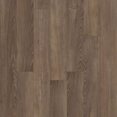 Shaw Floors Resilient Residential Empire Saadi Pine 04483_456CT