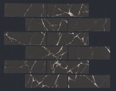 Shaw Floors Ceramic Solutions Dreamscape 2×6 Nero Marquina 00900_484TS