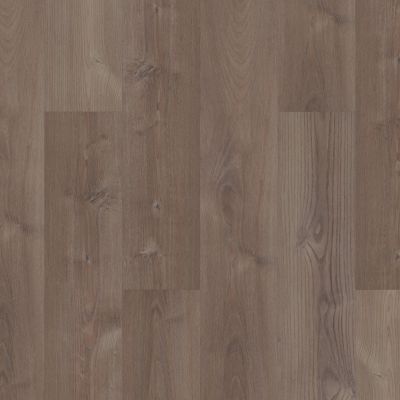Shaw Floors Resilient Property Solutions Revered Elster Oak 02008_492CT