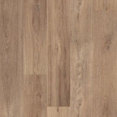 Shaw Floors Resilient Property Solutions Revered Lyric Oak 02027_492CT