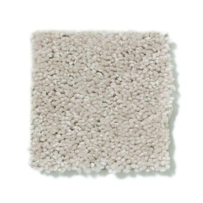 Shaw Floors Shaw Flooring Gallery Essay II Heavenly 5005G_00107
