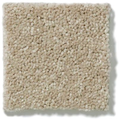 Shaw Floors Shaw Flooring Gallery Essay II Straw Hat 5005G_00250