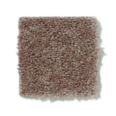 Shaw Floors Shaw Flooring Gallery Essay II Moccasin 5005G_00752