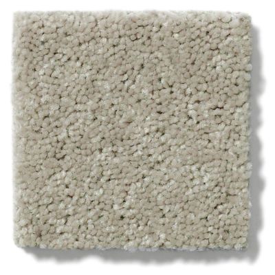 Shaw Floors Shaw Flooring Gallery Essay II Basket 5005G_00762