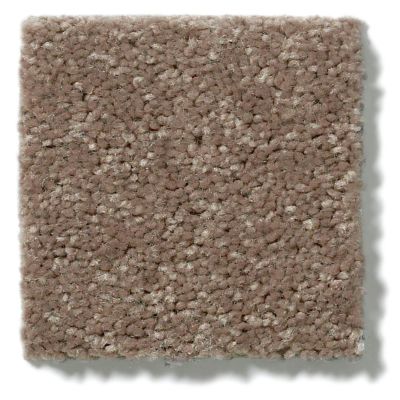 Shaw Floors Shaw Flooring Gallery Essay II Owl 5005G_00791