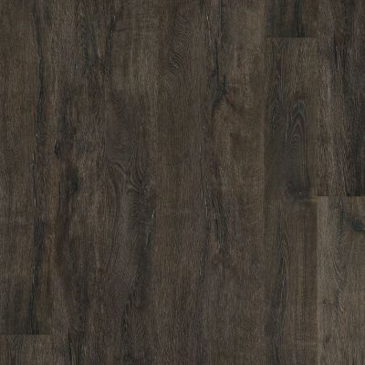 Shaw Floors SFA Largo HD Plus Torino 00793_500SA