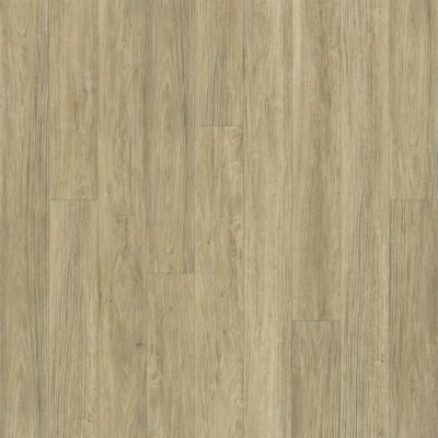 Shaw Floors SFA Largo Plus Carbonaro 00124_502SA
