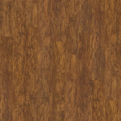 Shaw Floors SFA Casa Plus Oro 00255_503SA