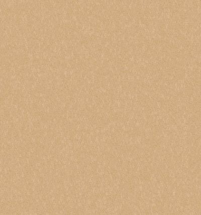 Shaw Contract No Collection Scepter II Mushroom 43150_50521