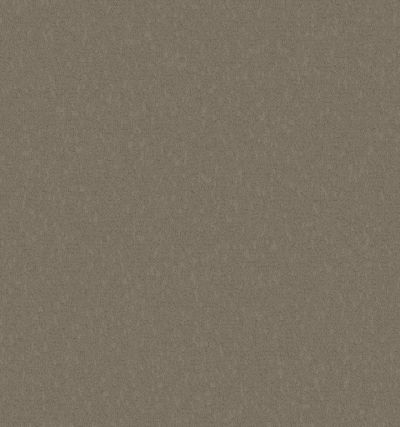 Shaw Contract No Collection Scepter II Dover 43506_50521