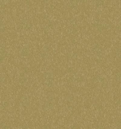 Shaw Contract No Collection Scepter II Khaki 43545_50521