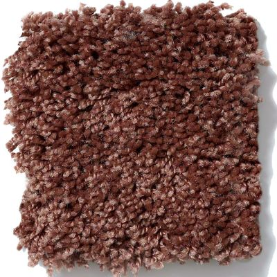 Shaw Floors Shaw Flooring Gallery Chromatic Tropic Pearl 53633_00100
