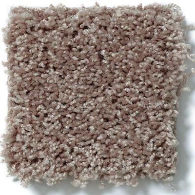 Shaw Floors Shaw Flooring Gallery Chromatic Bleached Straw 53633_00101
