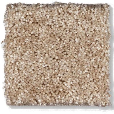 Shaw Floors Shaw Flooring Gallery Chromatic Honey Nut 53633_00105