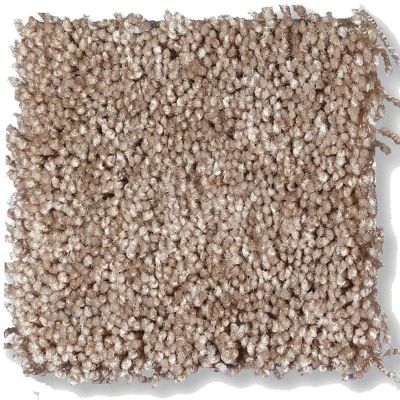 Shaw Floors Shaw Flooring Gallery Chromatic Warm Lava 53633_00106
