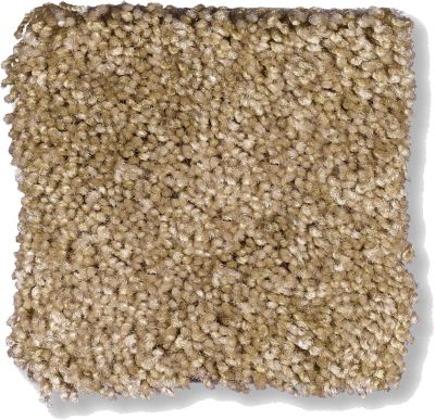 Shaw Floors Shaw Flooring Gallery Chromatic Dried Leaf 53633_00300