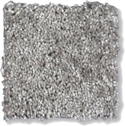 Shaw Floors Shaw Flooring Gallery Chromatic Old Pewter 53633_00501