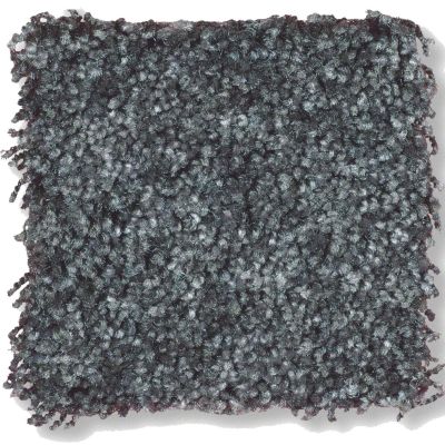 Shaw Floors Shaw Flooring Gallery Chromatic Black Sand 53633_00502