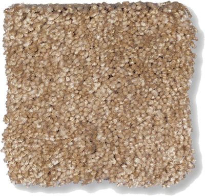 Shaw Floors Shaw Flooring Gallery Chromatic Spice Bark 53633_00700