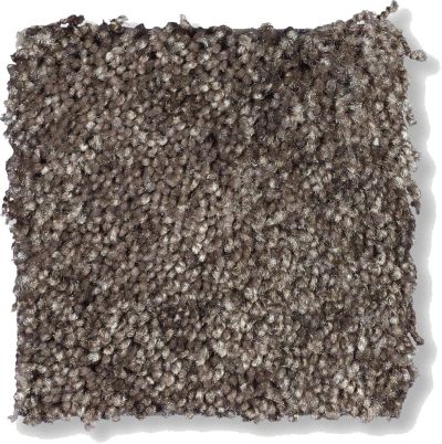 Shaw Floors Shaw Flooring Gallery Chromatic Dark Chocolate 53633_00702