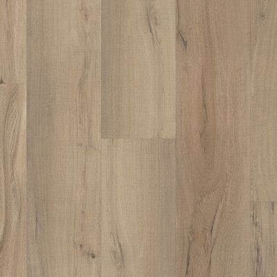 Shaw Floors Resilient Residential Paramount 512c Plus Driftwood 01056_509SA
