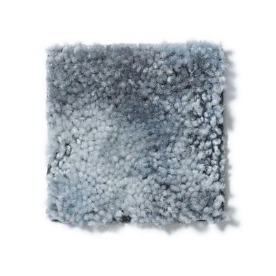 Shop Shaw Floors Tenacious Platinum 00500 51469 Carpet Pilot Floor Covering Inc