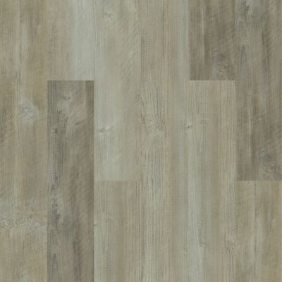 Shaw Floors Resilient Property Solutions Moonlit Pine 720c Plus Salvaged Pine 00554_514RG
