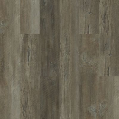 Shaw Floors Resilient Home Foundations Moonlit Pine 720c Plus Antique Pine 05006_514RG