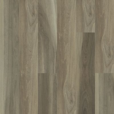 Shaw Floors Resilient Property Solutions Barrel Oak 720c Plus Chestnut Oak 05010_515RG