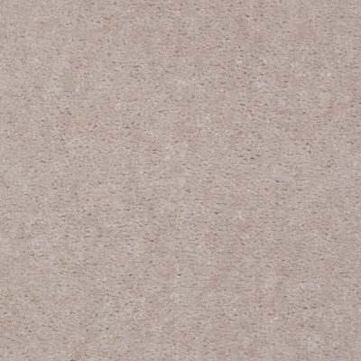 Shaw Floors Atherton CUT PILE Vapor 29111_52029