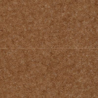 Shaw Floors Atherton CUT PILE Copper Penny 29700_52029