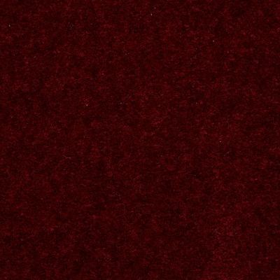 Shaw Floors Atherton CUT PILE Crushed Berry 29802_52029