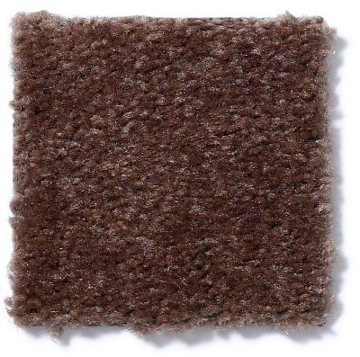 Shaw Floors Cascade II Leather Brown 52350_00774