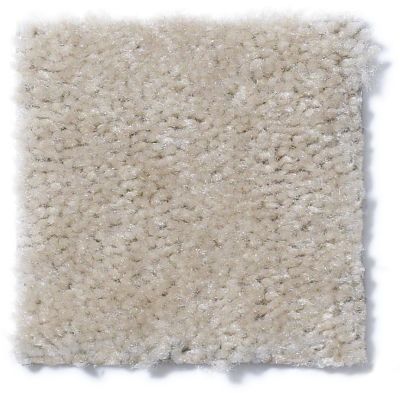 Shaw Floors Cascade II Frosty Taupe 52350_50102