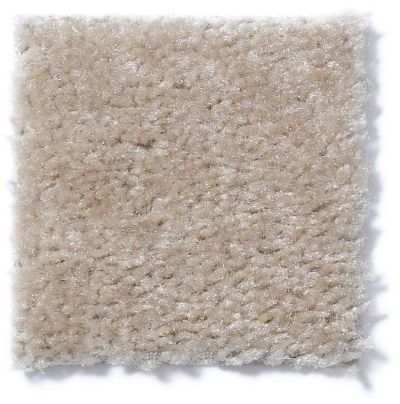 Shaw Floors Cascade II Heather 52350_50104