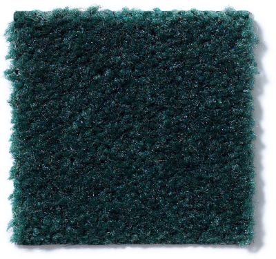 Shaw Floors Cascade II Emerald Stone 52350_50302