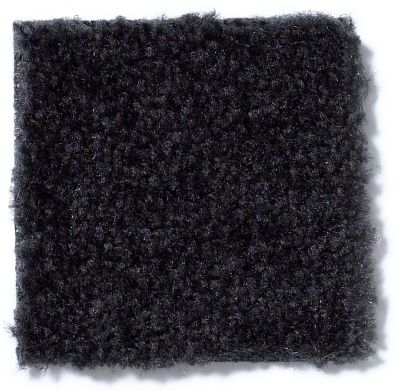 Shaw Floors Cascade II Black Beauty 52350_50502