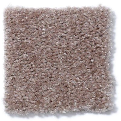 Shaw Floors Cascade II Willow 52350_50700