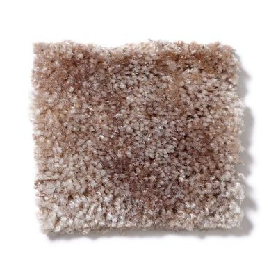 Shaw Floors Dynamics Pale Stucco 52606_00100