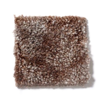 Shaw Floors Dynamics Moccasin 52606_00102