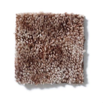 Shaw Floors Dynamics Warm Clay 52606_00105