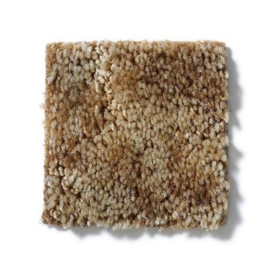 Shaw Floors Dynamics Sugar Cane 52606_00200