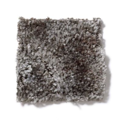 Shaw Floors Dynamics Silver Birch 52606_00700