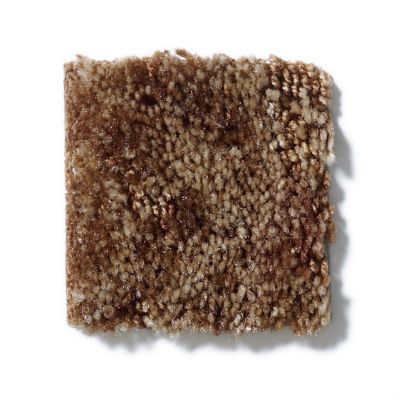 Shaw Floors Dynamics Amber Bark 52606_00705