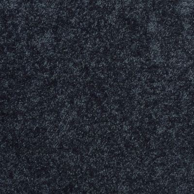 Shaw Floors Shaw Flooring Gallery Ellendale 12′ Blue Jeans 00420_5273G